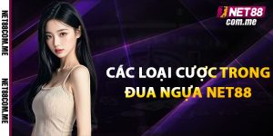 Các loại cược trong đua ngựa net88