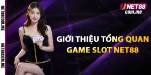Giới thiệu tổng quan game slot net88